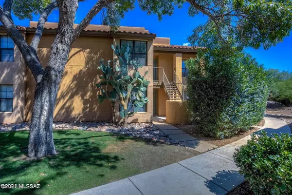 6651 N Campbell Avenue #234, Tucson, AZ 85718