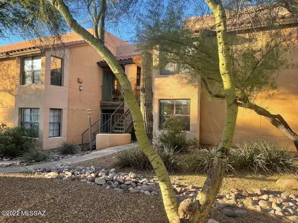 6651 N Campbell Avenue #165, Tucson, AZ 85718