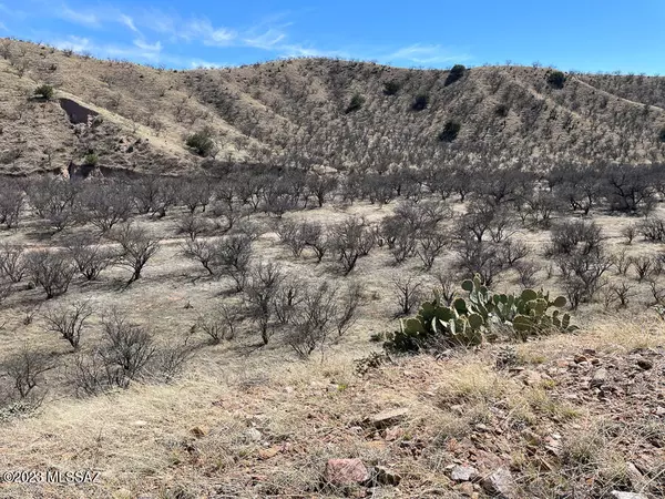 TBD Sonoita Creek Ranch Rd  #15, Rio Rico, AZ 85648