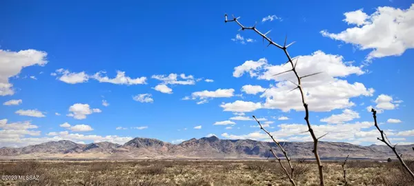 San Simon, AZ 85632,18.57 Acres Lobo Lane #-