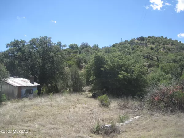 14900 N Oracle Control Road, Mt. Lemmon, AZ 85619