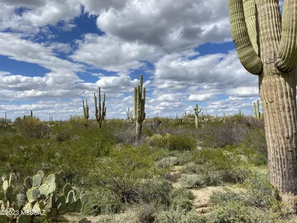 Marana, AZ 85658,529acres E Hemlock Drive