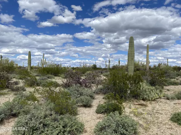 Marana, AZ 85658,529acres E Hemlock Drive