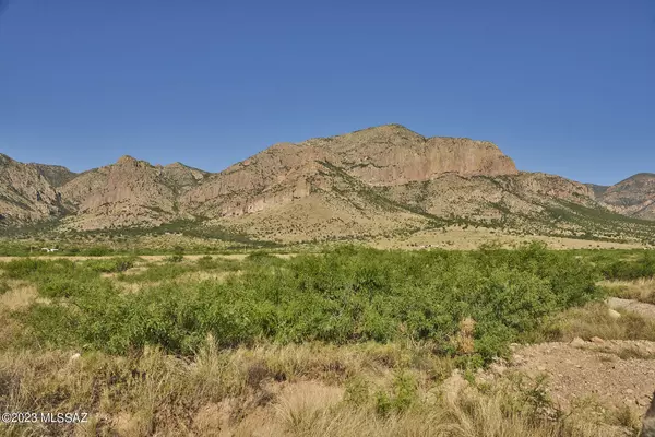 Portal, AZ 85632,36.2 Acre Sulphur Canyon Road  #21