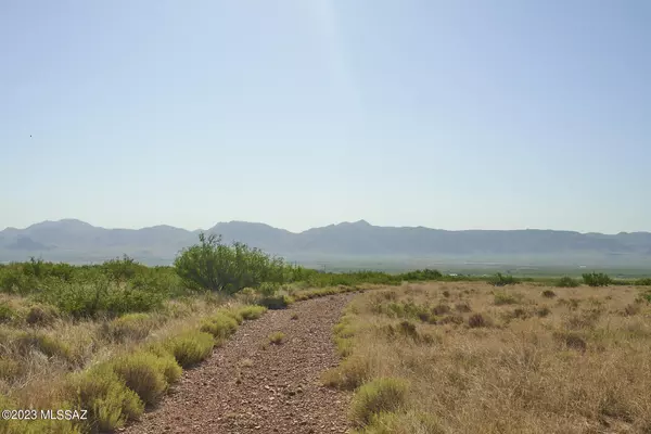 Portal, AZ 85632,36.2 Acre Sulphur Canyon Road  #21