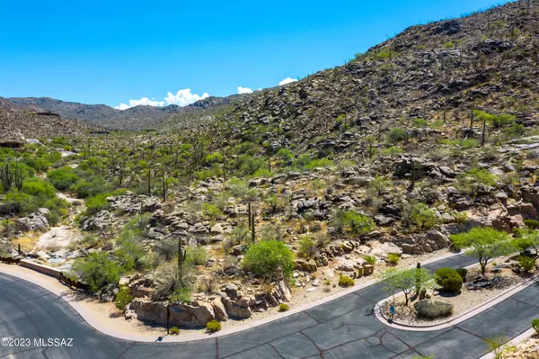 Marana, AZ 85658,14910 N Dove Canyon Pass  #179