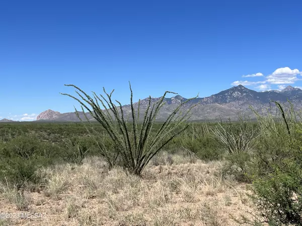 Tubac, AZ 85646,TBD Camino Nacozari  #70