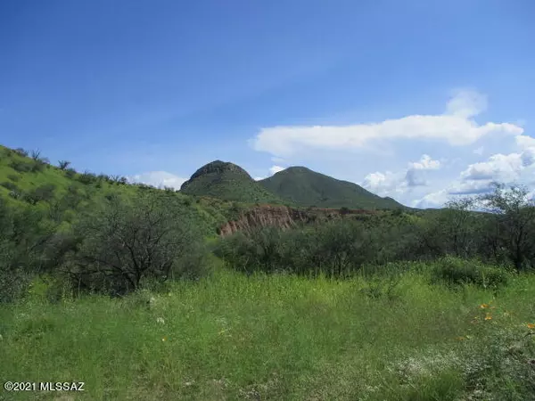 Rio Rico, AZ 85648,275 Camino Armadillo  #162