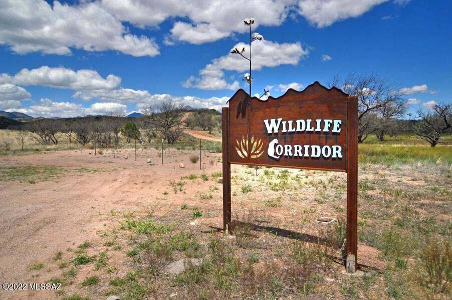 Patagonia, AZ 85624,190 Tanglehead Lane #Lot 25
