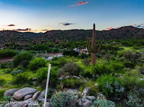 Oro Valley, AZ 85755,14971 N Slippery Ridge Loop #Lot 476