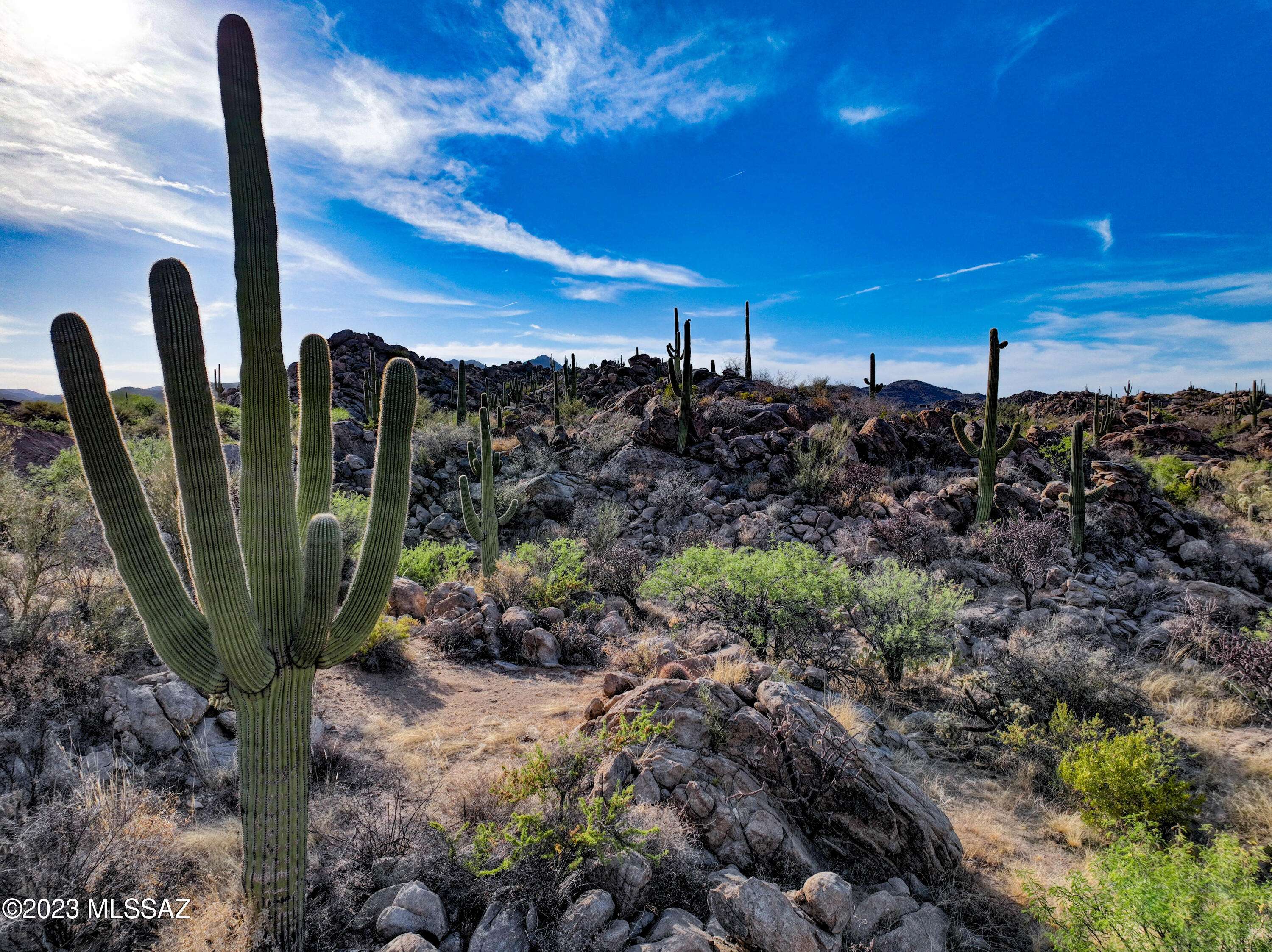 Oro Valley, AZ 85755,478 W Granite Gorge Drive #562