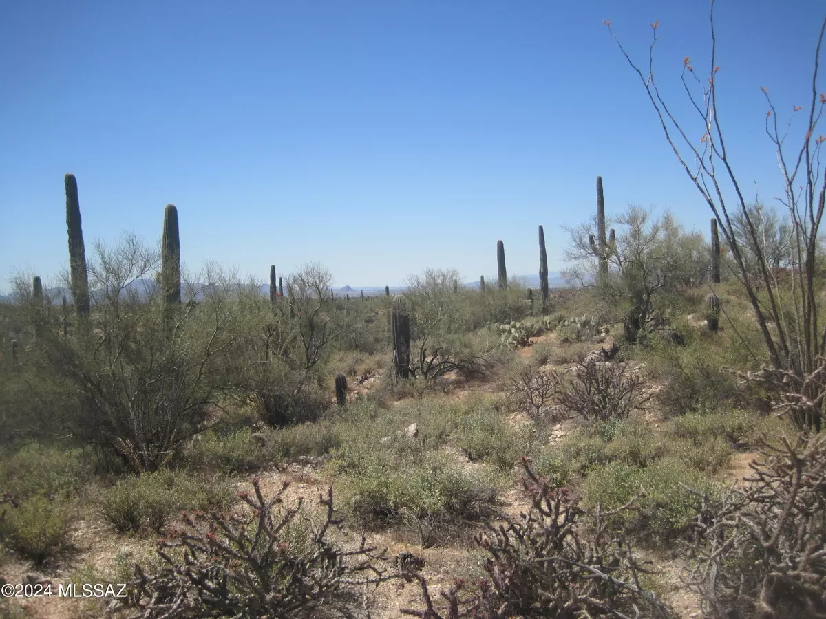 Marana, AZ 85658,XX Derrio & Muledeer