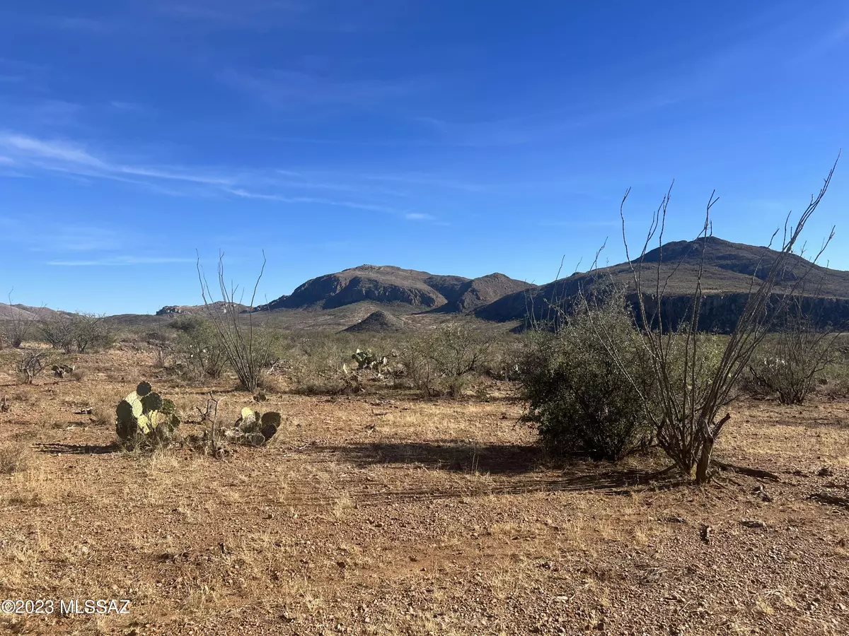 Tubac, AZ 85646,TBD Camino Josefina  #103A