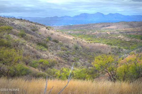 TBD Lado De Loma Drive #16, Patagonia, AZ 85624