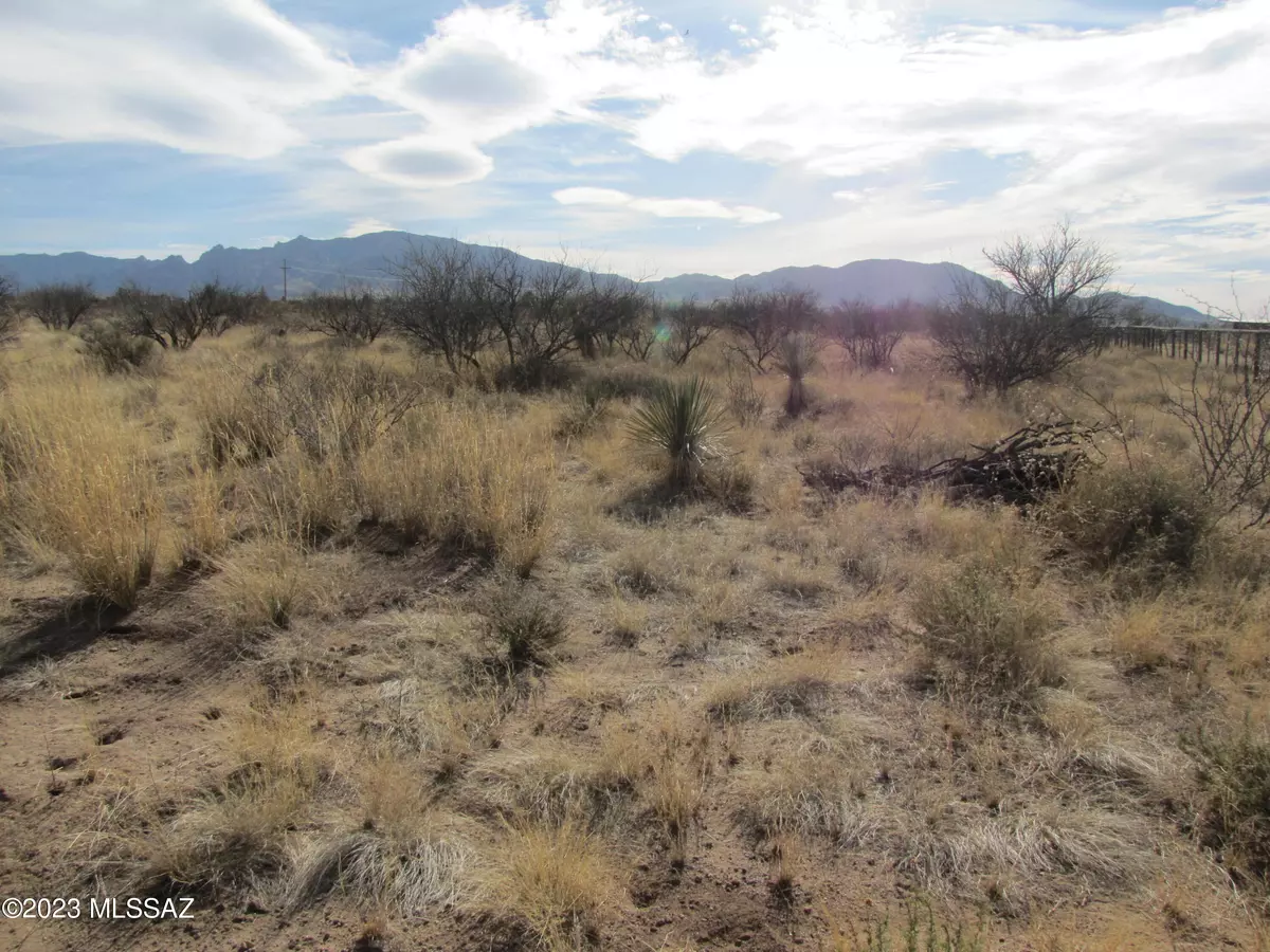 Cochise, AZ 85606,10.03ac N. Cutting Horse Ln