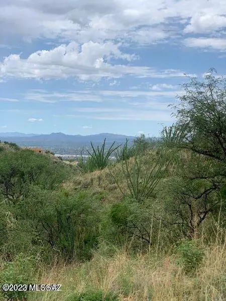 Rio Rico, AZ 85648,387 Camino Canoa  #38