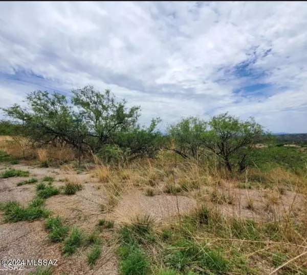 Rio Rico, AZ 85648,580 Cave Lane #49