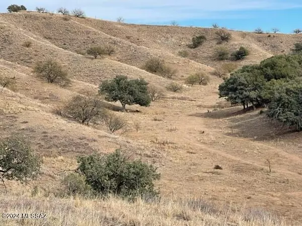 Sonoita, AZ 85637,00 Sierra Grande Ranch Road #2