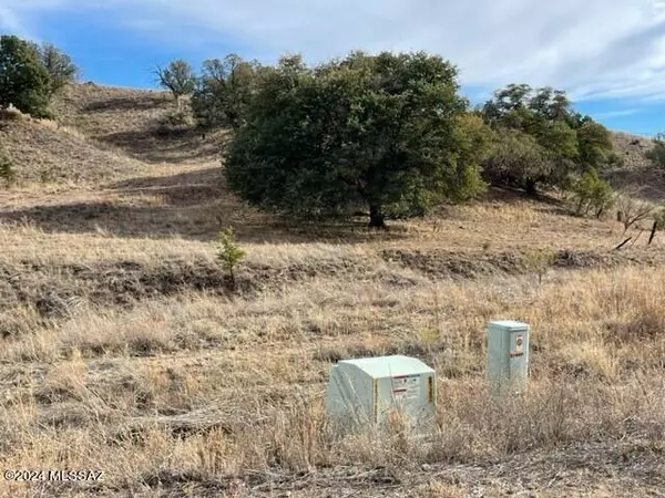 Sonoita, AZ 85637,00 Sierra Grande Ranch Road #2