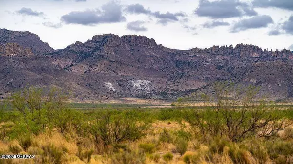 Portal, AZ 85632,Three Triangle Ranches 20.5 Acres B  #37