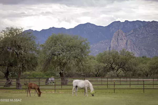 Amado, AZ 85645,3155 W Elephant Head Road