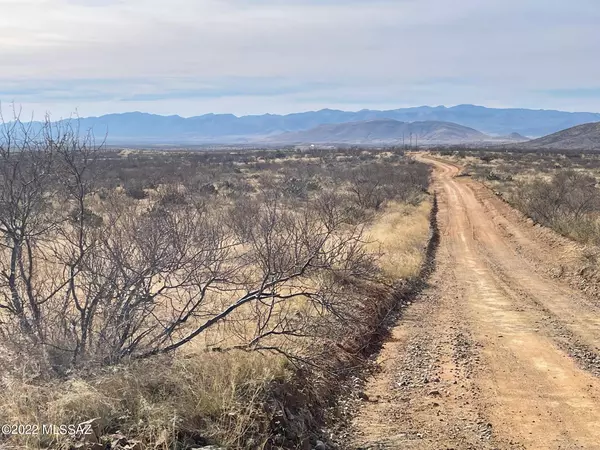 Elfrida, AZ 85610,lot 45 N Double U Ranch  #45