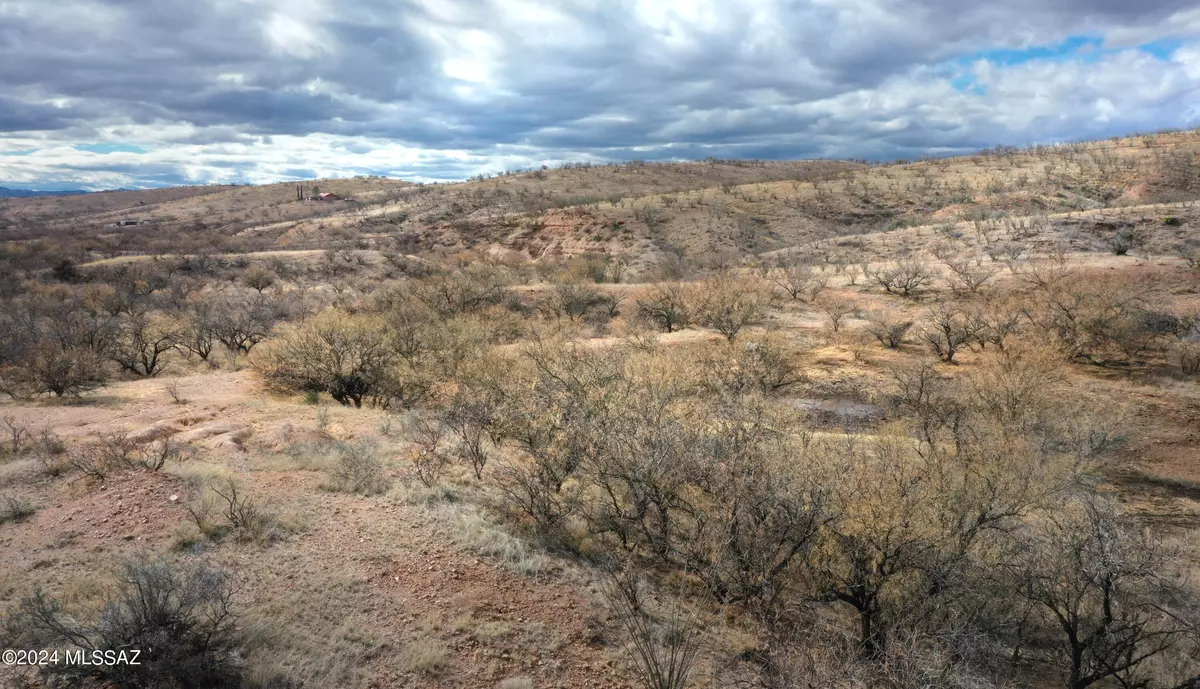 Patagonia, AZ 85624,20 Camino Los Vientos