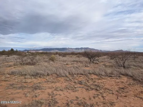 Hereford, AZ 85615,Lot B S Windsock Road #0