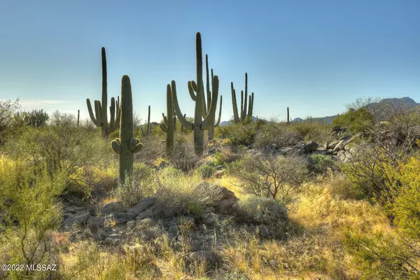 14451 N Giant Saguaro Place #32, Oro Valley, AZ 85755