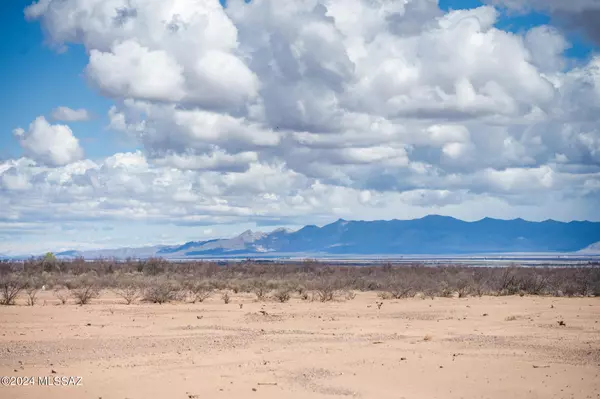 Mc Neal, AZ 85617,80 acres Frontier Road