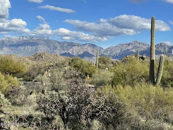 Oro Valley, AZ 85755,1149 W Tortolita Mountain Circle W Circle #178