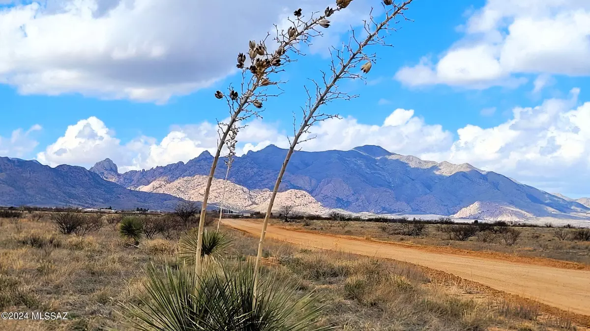 Pearce, AZ 85625,1.70 ACRE on Treasure Road #-