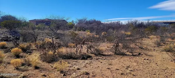 Tombstone, AZ 85638,Lot 276 N Saddleback Circle