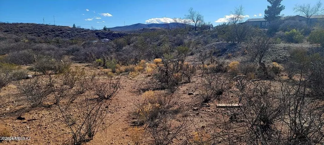 Tombstone, AZ 85638,Lot 276 N Saddleback Circle