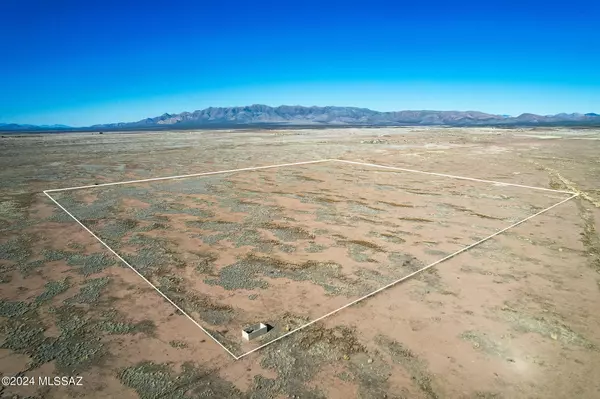 Mc Neal, AZ 85617,40 Acres W Ortiz Rd/Dbl E  #32-03