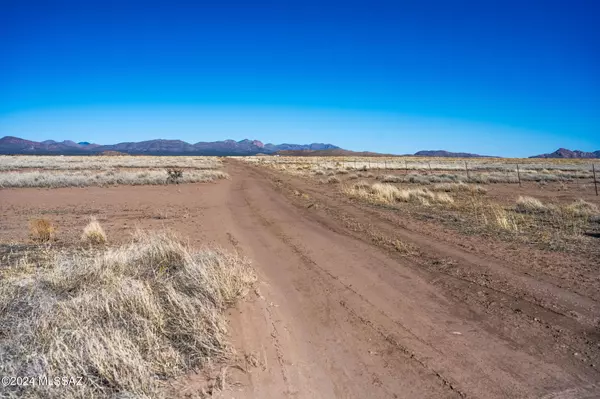 Mc Neal, AZ 85617,40 Acres W Ortiz Rd/Dbl E  #32-03