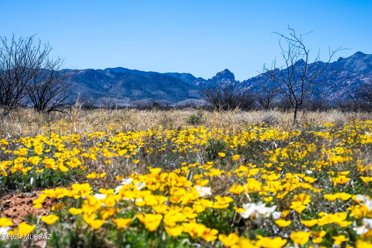 Pearce, AZ 85625,1.68 Acres Ironwood Road #10&11