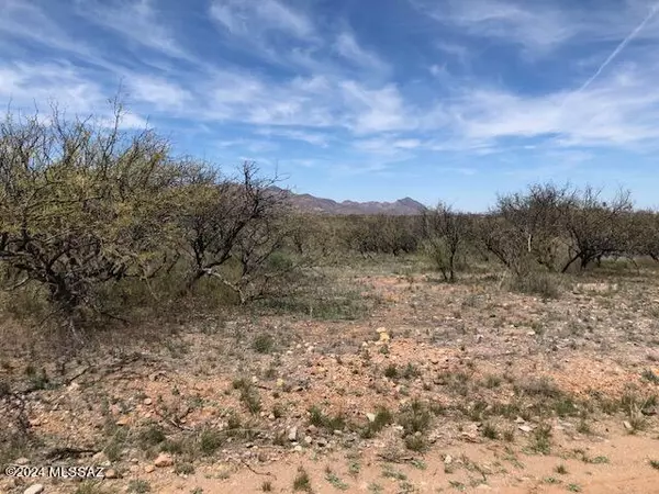 Rio Rico, AZ 85648,738 Camino Arruza  #30