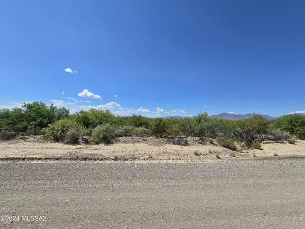 San Simon, AZ 85632,20 acres W Coyote Song Road