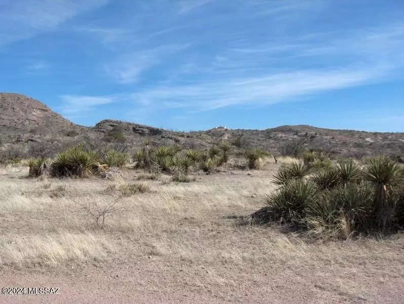 114 Cuates Buttes Lane  #81, Rio Rico, AZ 85648