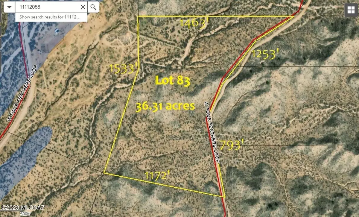 Willcox, AZ 85643,36.31ac S Four Feathers Loop #83