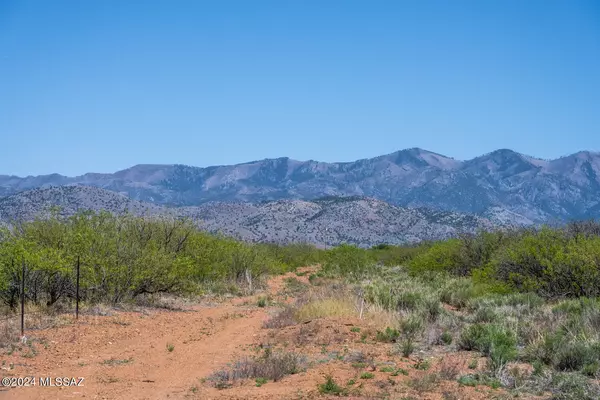 Pearce, AZ 85625,40 Acres E Carolyn Fraser Lane #-