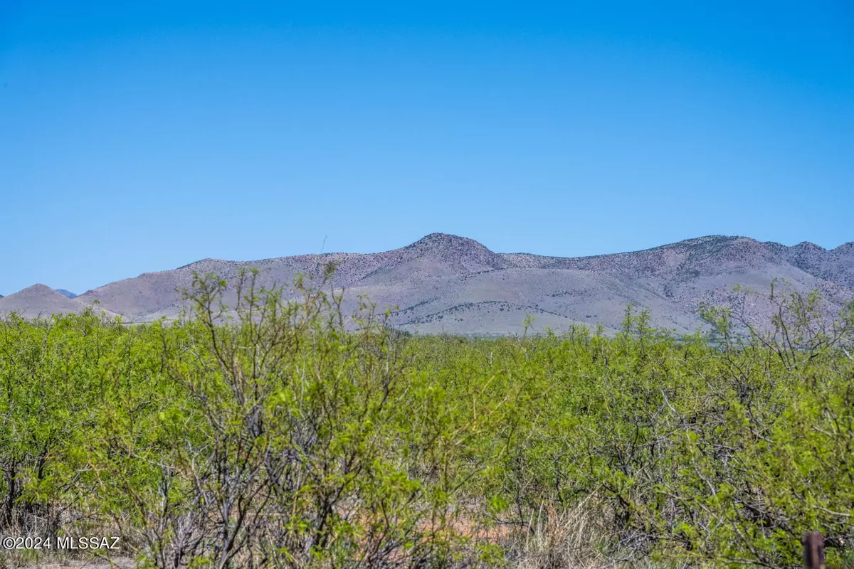 Pearce, AZ 85625,40 Acres E Carolyn Fraser Lane #-