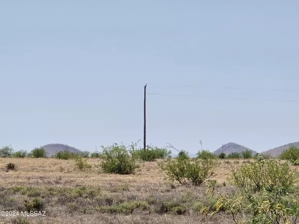 Willcox, AZ 85643,20 Acres E Parker Ranch Road