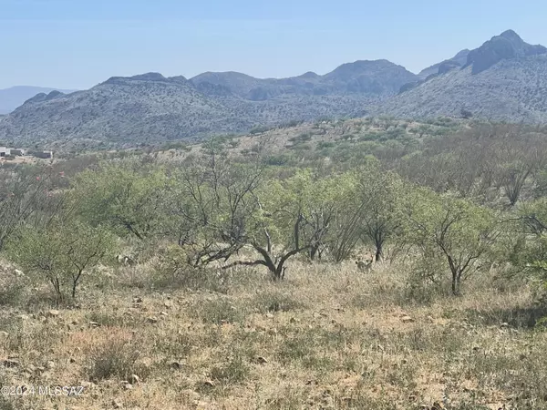 Tubac, AZ 85646,TBD Ash Canyon Road #100