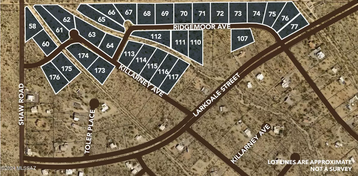 Tucson, AZ 85736,32lots W Ridgemoor Av  #-
