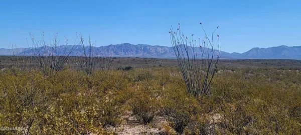 Tombstone, AZ 85638,TBD W Rainbow Road