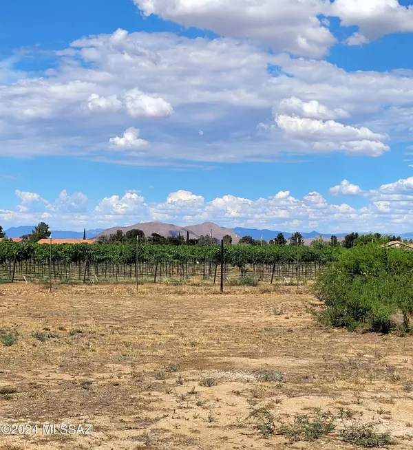 Pearce, AZ 85625,1 Lot (0.19 AC) on Cholla  #87