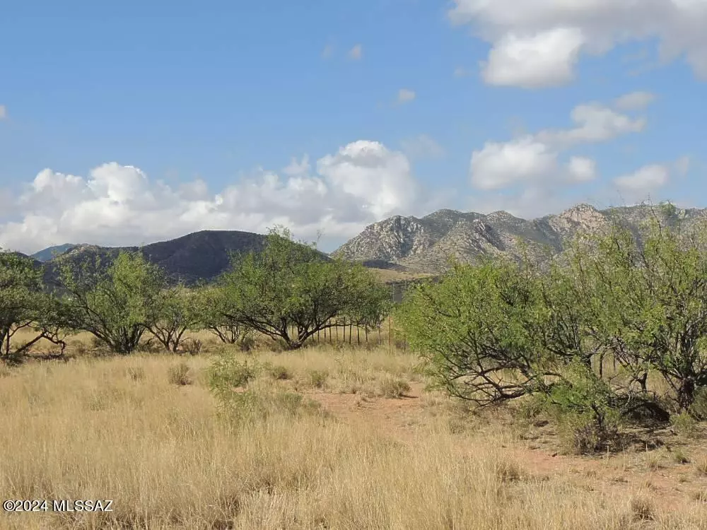 Cochise, AZ 85606,80 AC - Near Ironwood Rd  #-