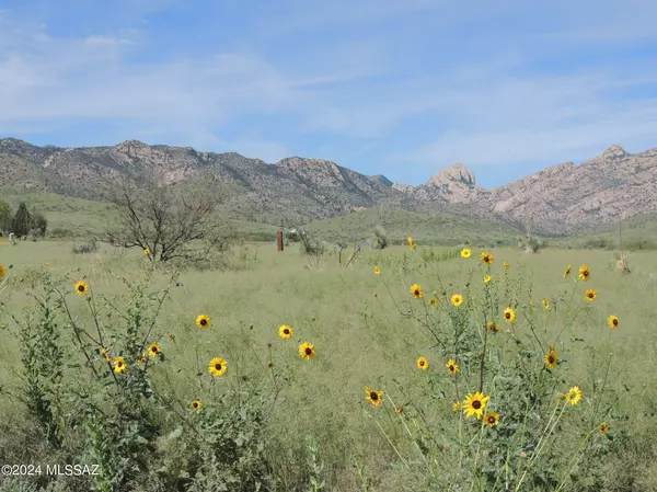 Cochise, AZ 85606,80 AC - Near Ironwood Rd  #-